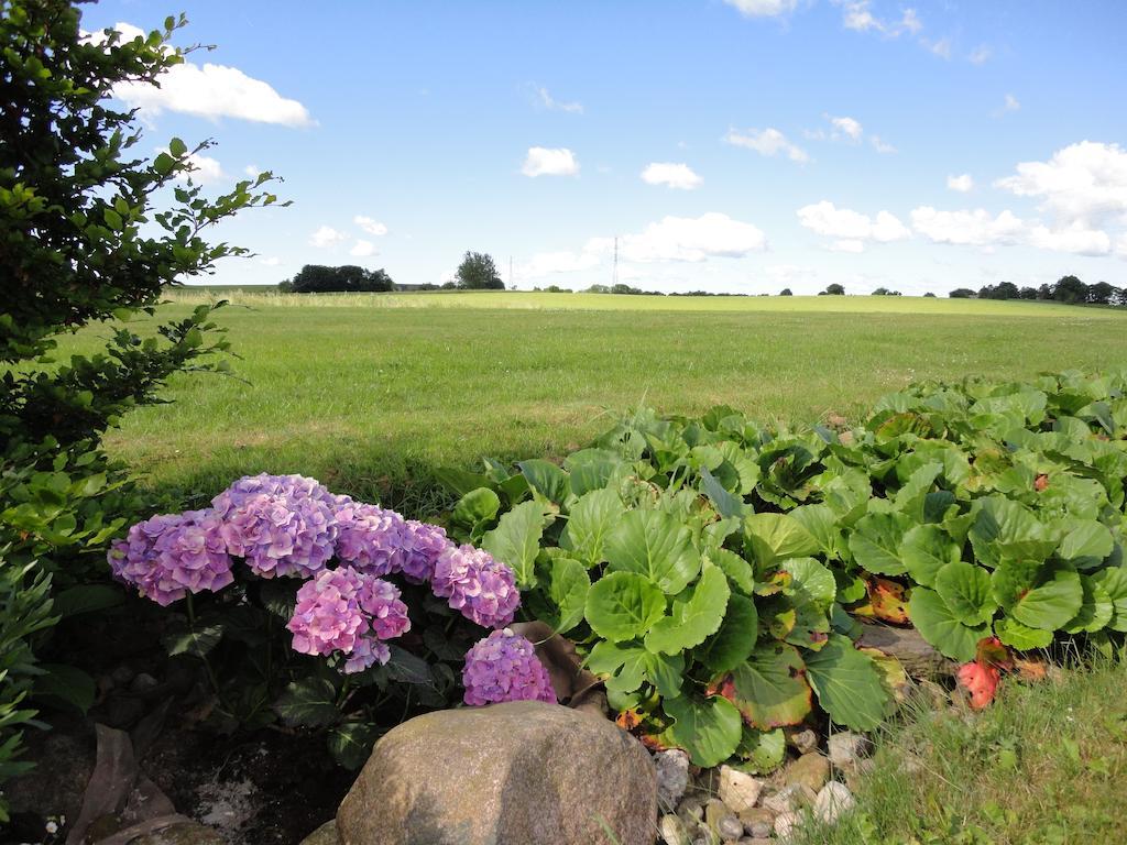 Elisesminde Lägenhet Vejle Rum bild